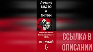 Подпишись на Любимые Видосики