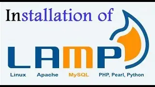 PhpmyAdmin or LAMP installation in Ubuntu