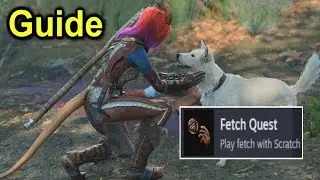 Fetch Quest Achievement Guide | BG3