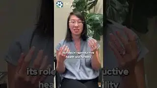 What is Progesterone Deficiency?