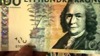 Swedish Kroner Money Currency Leftover From Vacation