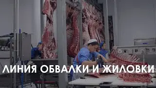 Линия обвалки и жиловки свиней и КРС HD FELETI | Deboning and trimming line HD