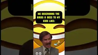 "There's Some Stank" 😂 #jokes #meme #edit #fyp #anchorman #ronburgundy #birdsandbees #shorts