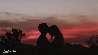 Walk The Moon - Lost In The Wild (Lyrics)//[Kissing Booth 2 OST)