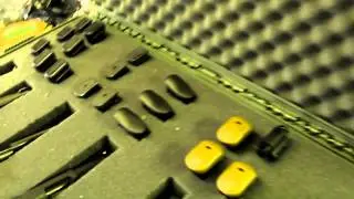 Pelican Gun case