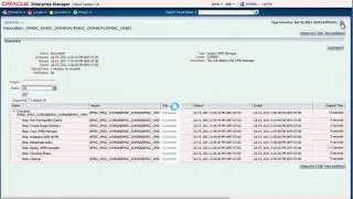 Oracle Enterprise Manager 12c: Deploying JVMD and ADP Managers