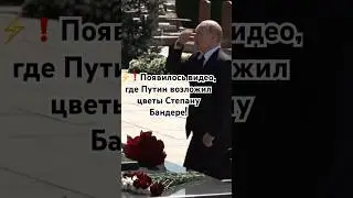 Путин возложил цветы Степану Бандере! #shorts #путин #степанбандера