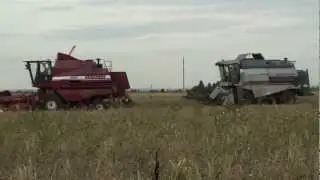 Уборка урожая 2012 комбайнами ПАЛЕССЕ GS 07 и ВЕКТОР 410