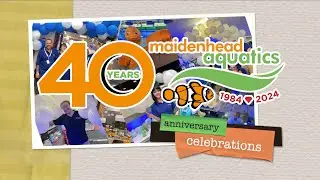 Our 40th Anniversary Celebrations