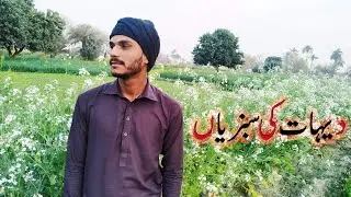 Healthy village vegetables in fazilpur and you can learn about vegetables from this video