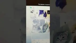 озвучка мурольды