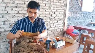 Cara membungkus cerutu tembakau deli ada di istana maimun.telp 081376600485
