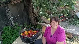 Вернулись домой и сразу приступили к работе. Копаем яму под скептик. Уйдем ли мы с Ютюба?