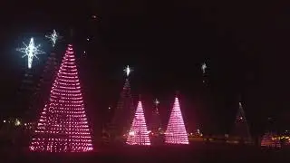 moving Christmas tree