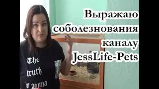 VLOG ВЫРАЖАЮ СОБОЛЕЗНОВАНИЯ КАНАЛУ JessLife-Pets