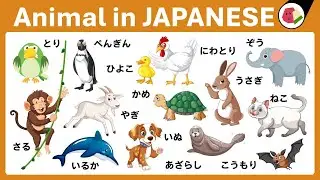 Japanese Vocabulary Test｜Hiragana Animals Quiz for Beginners｜NIHONGO