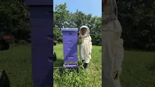 Our 9 year old’s own beehive