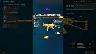THE *MAX DAMAGE* STRIKER BUILD on WARZONE 👑 