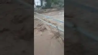 Çine'de Kalabalık çayı taştı