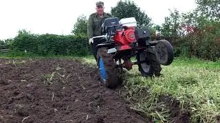 Сегодня финал, пашу горчицу мотоблоком Брайт  135  Сидерат удался