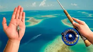 Fishing And Exploring A Lost World.