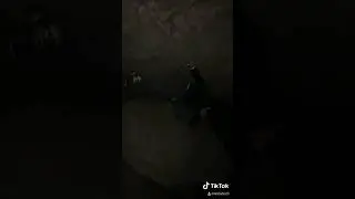 Garrado no toco em Los Angeles