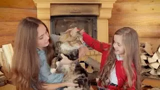 Про котов и кошек - группа "Хит-парад"