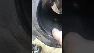 не частый гость