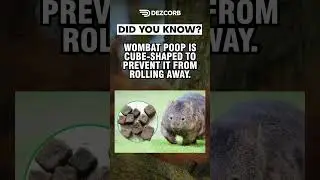 Did you know? | Unusual Fact #23 #psychologyfacts #unknownfacts #didyouknowfacts #facts