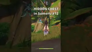 HIDDEN CHEST you might have missed in Sumeru #12 | Genshin Impact 