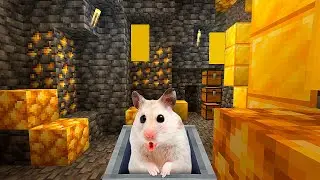 Hamster found the Gold Race in Minecraft 😲