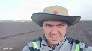 маркамо сев участок гибридизации