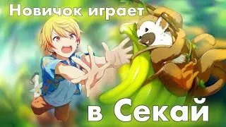 Новичок играет в секай или 4 минуты позора