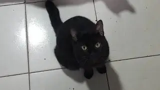 VLOG.. MINHA PIOR FÉRIAS.. entenda