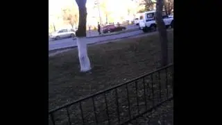 Про ментов
