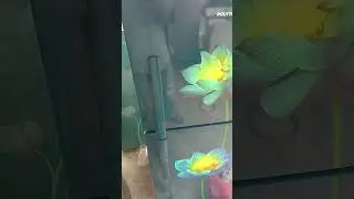 kulkas 2 pintu bawah tidak dingin