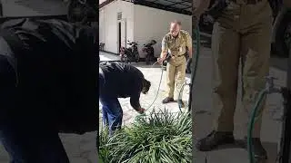Prank Perayaan Ulang Tahun