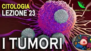 I TUMORI: ORIGINE, FATTORI di RISCHIO e PREVENZIONE. -Citologia Lezione 23