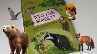 Кто где живет? Звери и птицы леса