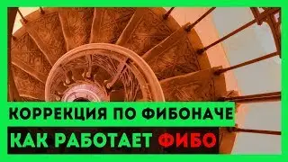 Что такое коррекция по фибоначе. Как работает фибо в криптовалютах?