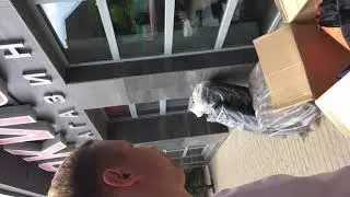 Лодка ПВХ Солар 380