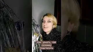21 декабря 2022 г.