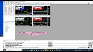 How to setup install metatrade5 in windows