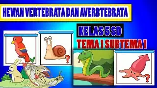 VERTEBRATES AND AVERTEBRATES