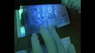 Коррупция в Кыргызстане: взятки, хищения, контрабанда