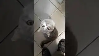 везде хожу с тобой