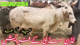 لڈن منڈی کے فریش ریٹ عید کے بعد کے