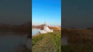 Петарда pit bull питбуль 30грамм 