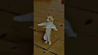 BEST DANCE Tek Tek 
