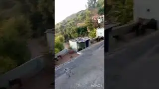 village life